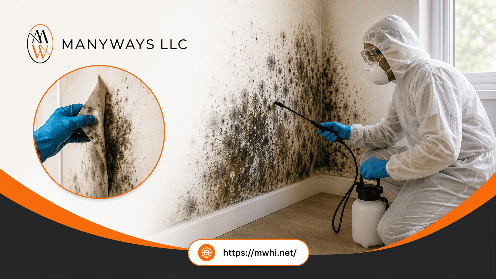 Mold Remediation